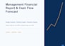 prepare financial statements, financial analysis and reports